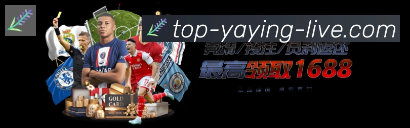 对战数据统计